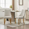 Okak Chenille Dining Chairs Set of 2, Modern Kitchen Chairs with Comfy Fabric Upholstered, Accent Chairs with Stainless Steel Plating Legs