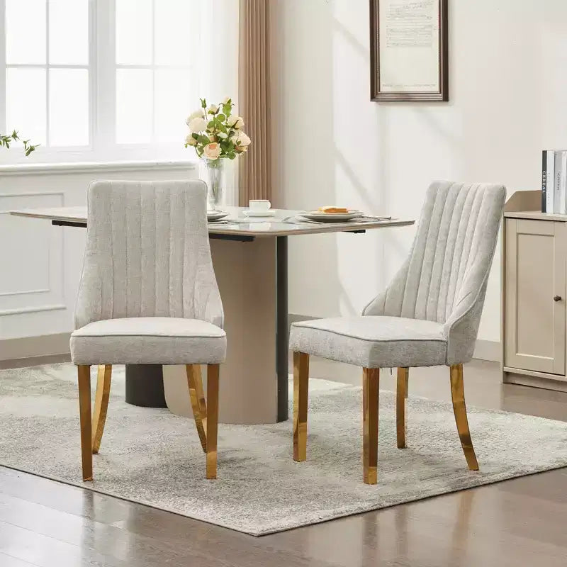 Okak Chenille Dining Chairs Set of 2, Modern Kitchen Chairs with Comfy Fabric Upholstered, Accent Chairs with Stainless Steel Plating Legs